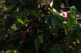 /album/fotogaleria/img-5806-ko%cc%81pia-jpg/